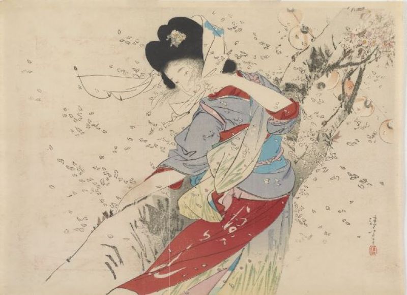 Cherry blossom flurry